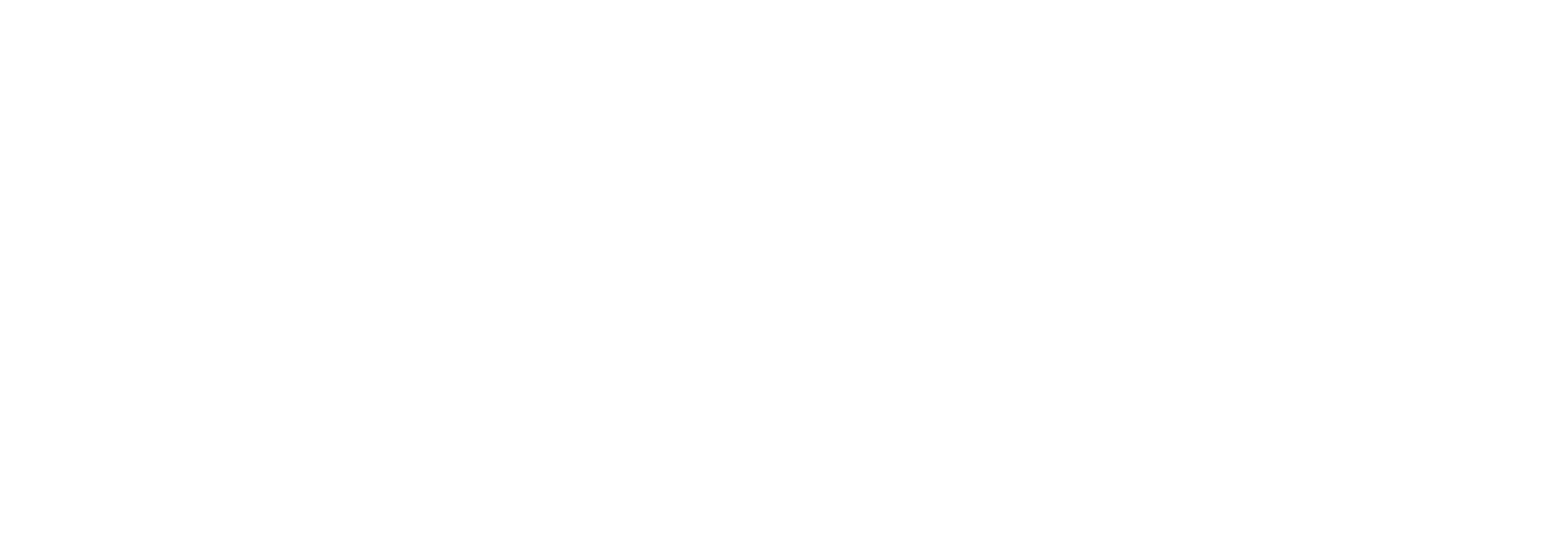 Lotus Hastanesi — Yatay Logo · Beyaz